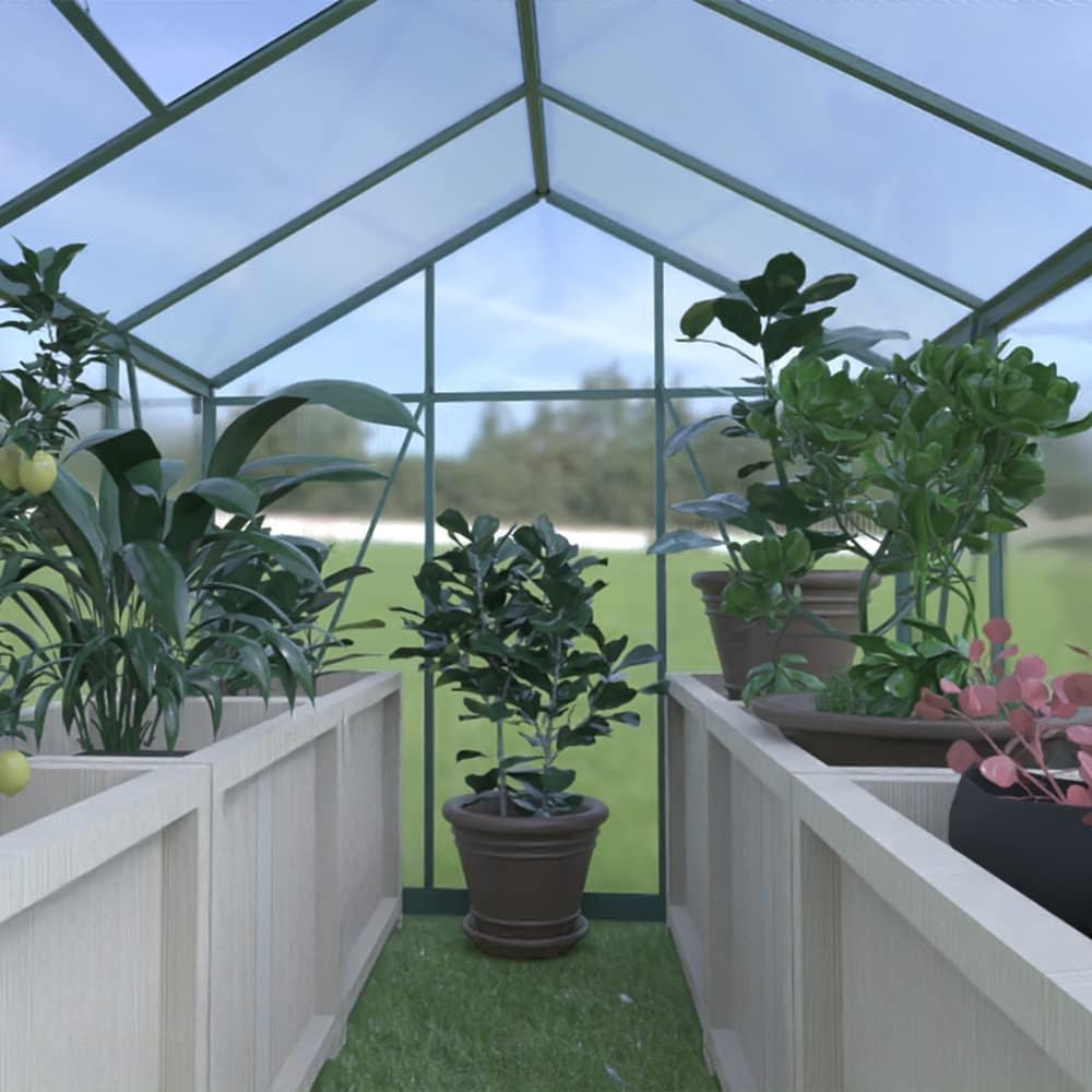 Goodyo® 6'x8' Polycarbonate Greenhouse Walk in, Green