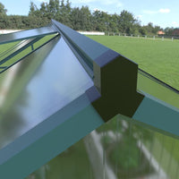 Goodyo® 6'x8' Polycarbonate Greenhouse Walk in, Green